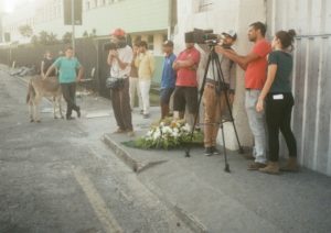 sonambulos
