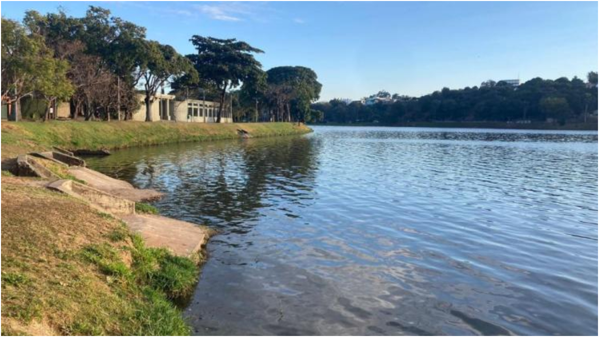 Quase 500 Peixes Da Lagoa Da Pampulha Morrem Em BH