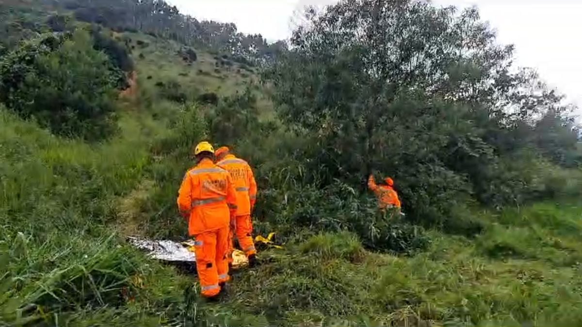 Homem Morre Ap S Ser Atacado Por Abelhas Em Po Os De Caldas