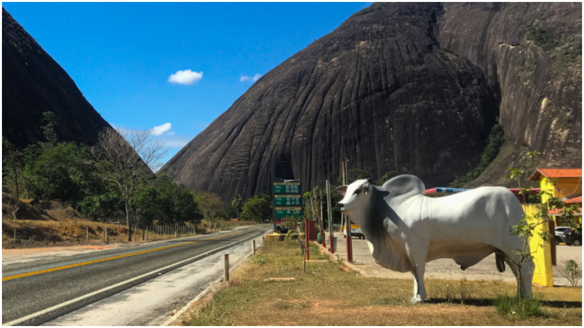 Minas Conclui Recupera O Funcional Da Rodovia Do Boi