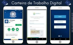A Carteira de Trabalho Digital: Tudo o Que Você Precisa Saber
