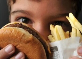 fast food calorias