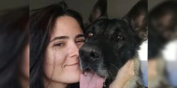 Veterinária senado federal com pastor-belga