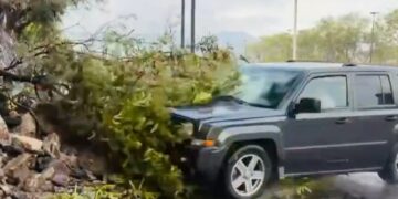repórter atropelado por carro