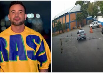 DJ Dani Brasil