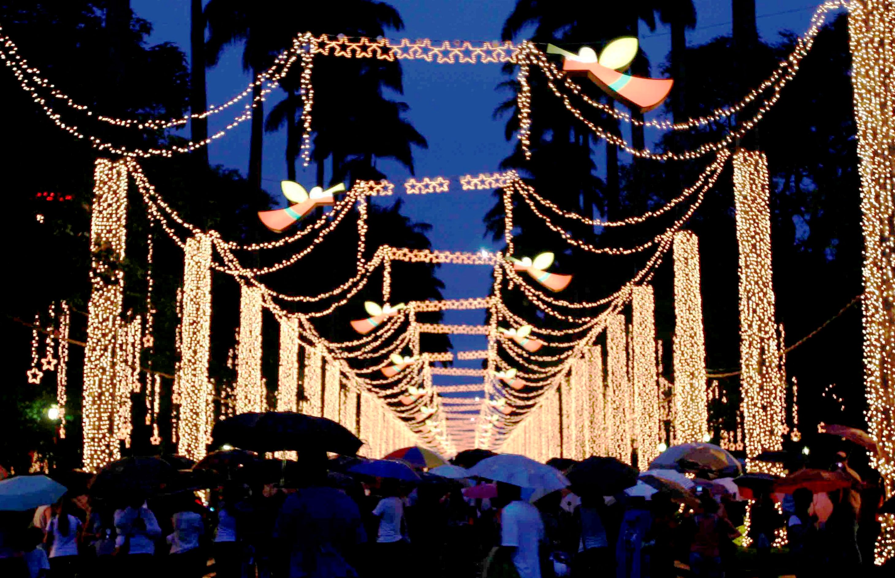 De onde vieram as luzes de Natal? – Espaço do Conhecimento UFMG