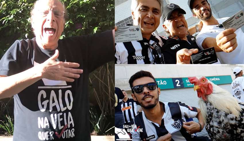 Galo na Veia Quer Votar