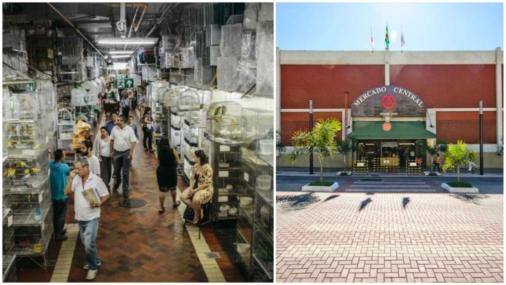 mercado central bh