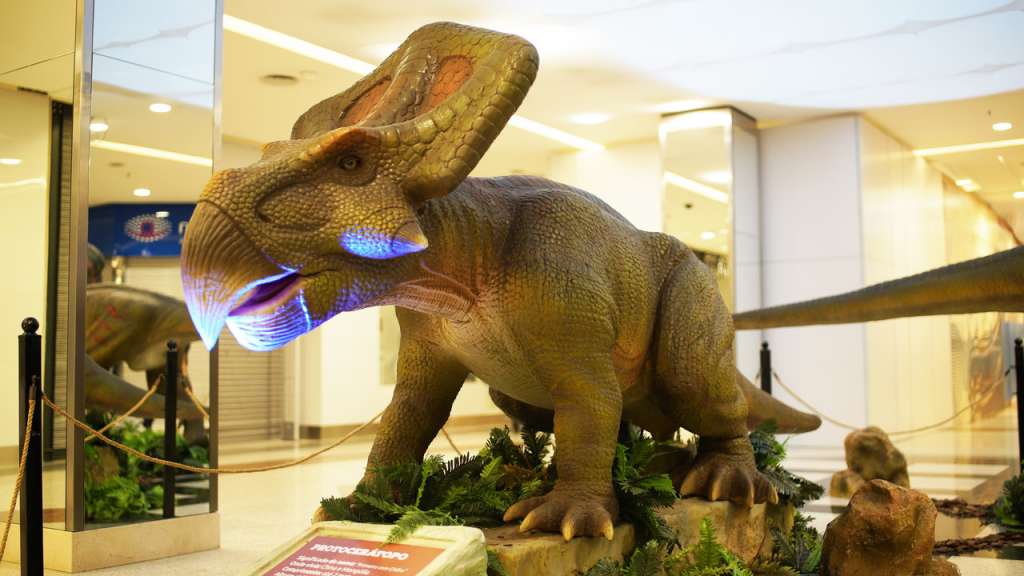 Lugares secretos de prédio tombado e dinossauros gigantes são atrações de  shoppings - 25/06/2018 - sãopaulo - Folha de S.Paulo