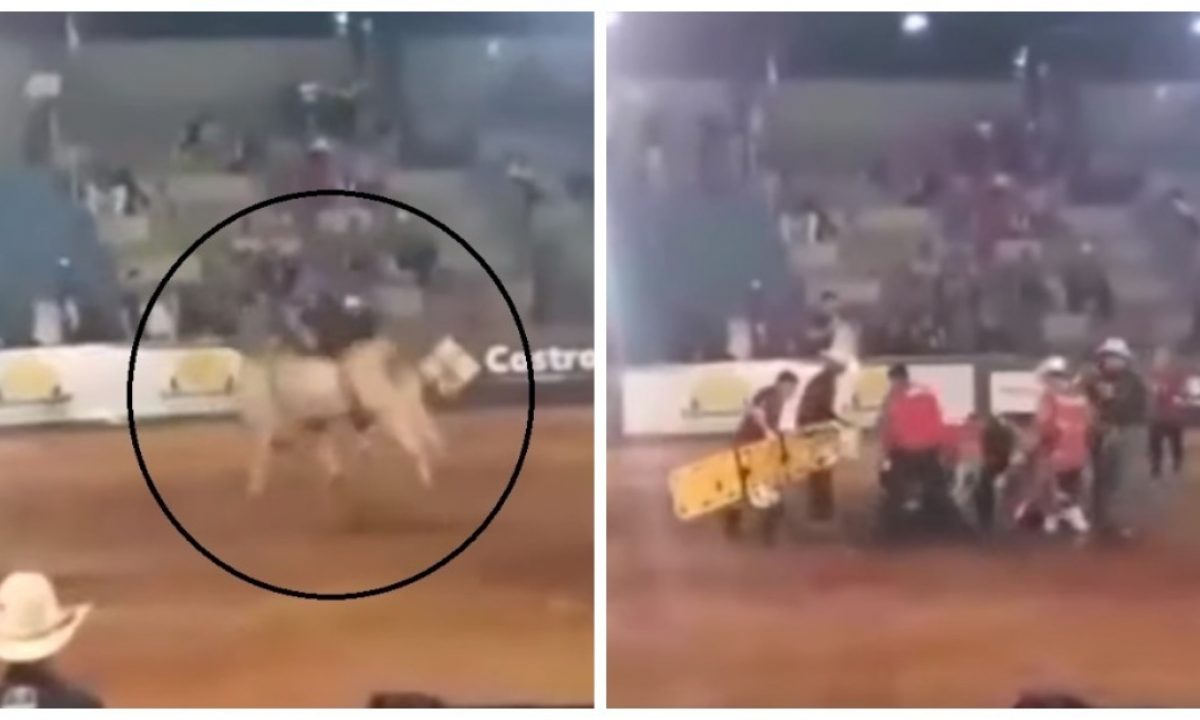 Peão de Barretos morre após ser pisoteado por touro durante rodeio em  Pirajuba, MG, Triângulo Mineiro