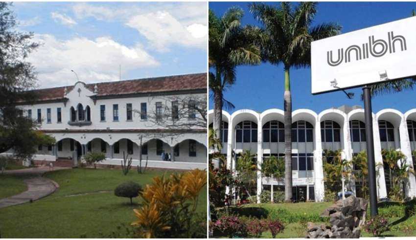 universidades adotam aulas online