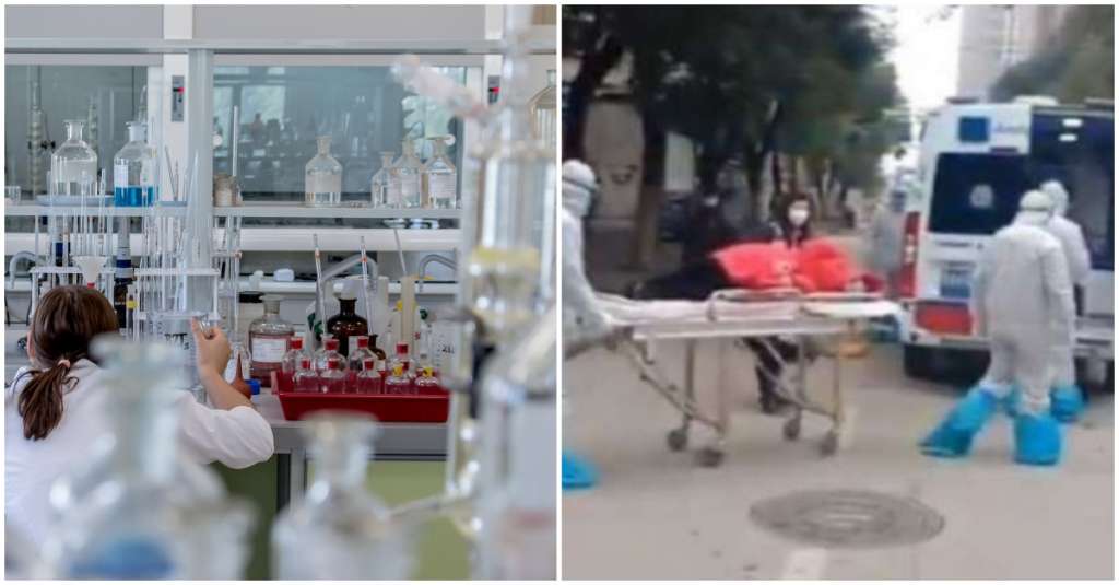 laboratório procura cobaias coronavírus