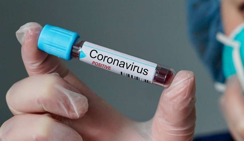 mortes coronavírus