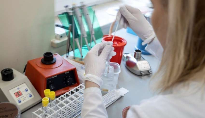 coronavirus em minas