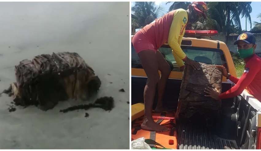 Caixas foram encontradas em praias