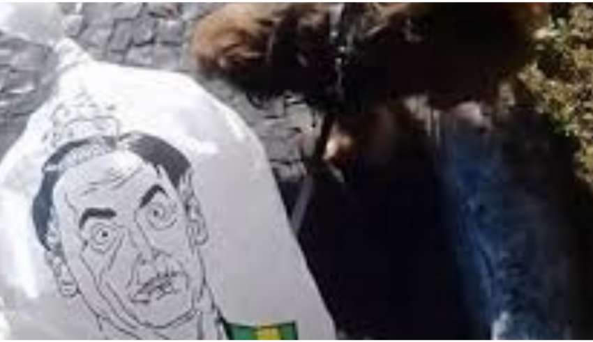 protesto bolsonaro