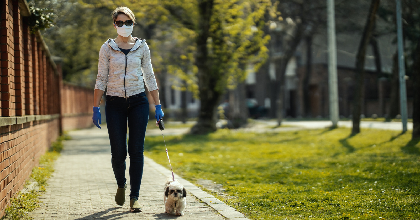 mulher passeando com cachorro
