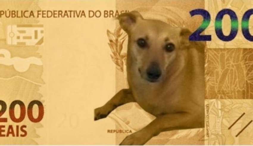 Vira-lata caramelo nota de R$ 200