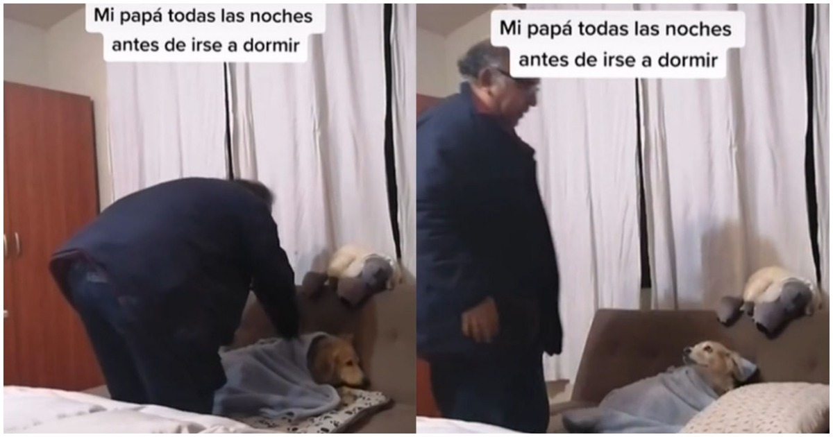 Pai colocando cachorro para dormir