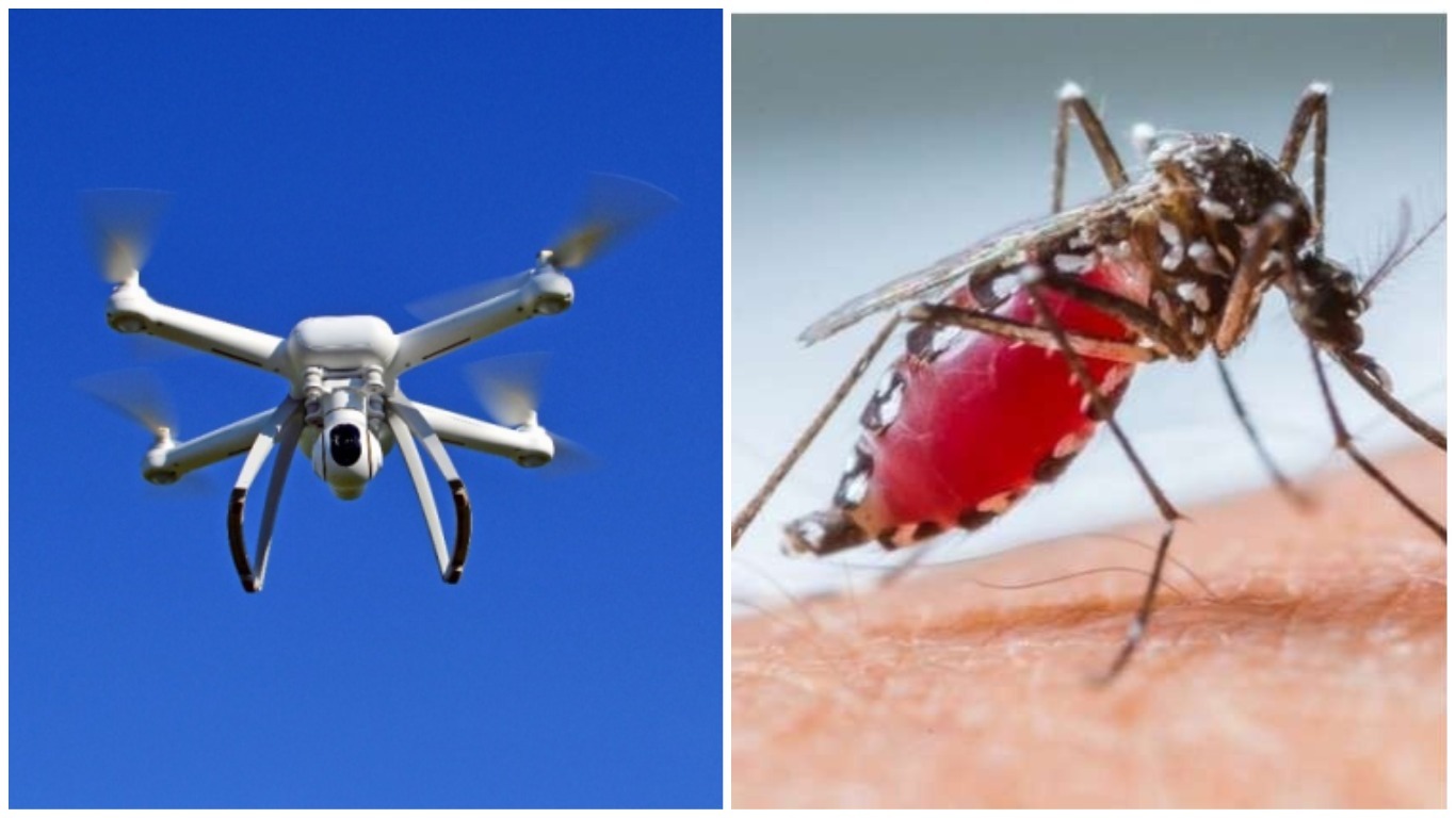 drone mosquito da dengue aedes aegypti