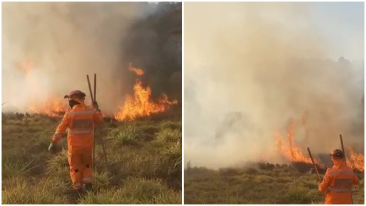 incêndio em mata na zona rural de Alfenas