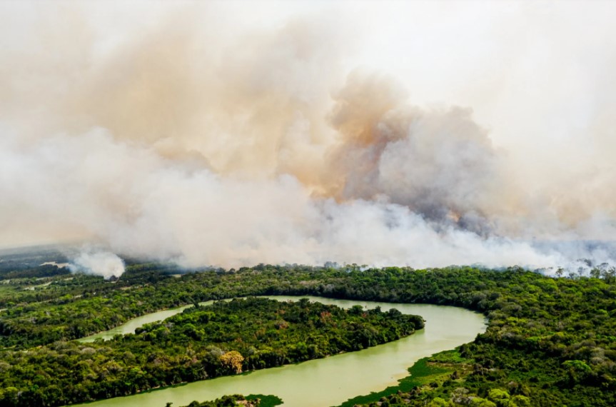 Fogo no Pantanal