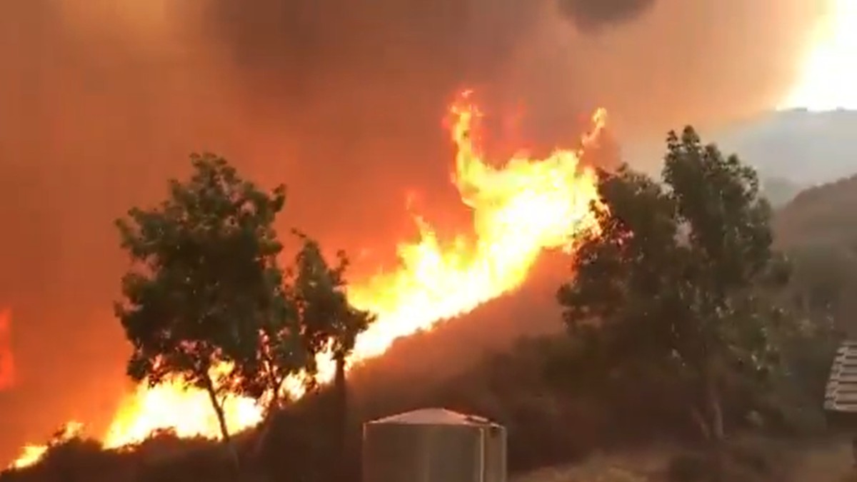 incêndio florestal san bernardino california