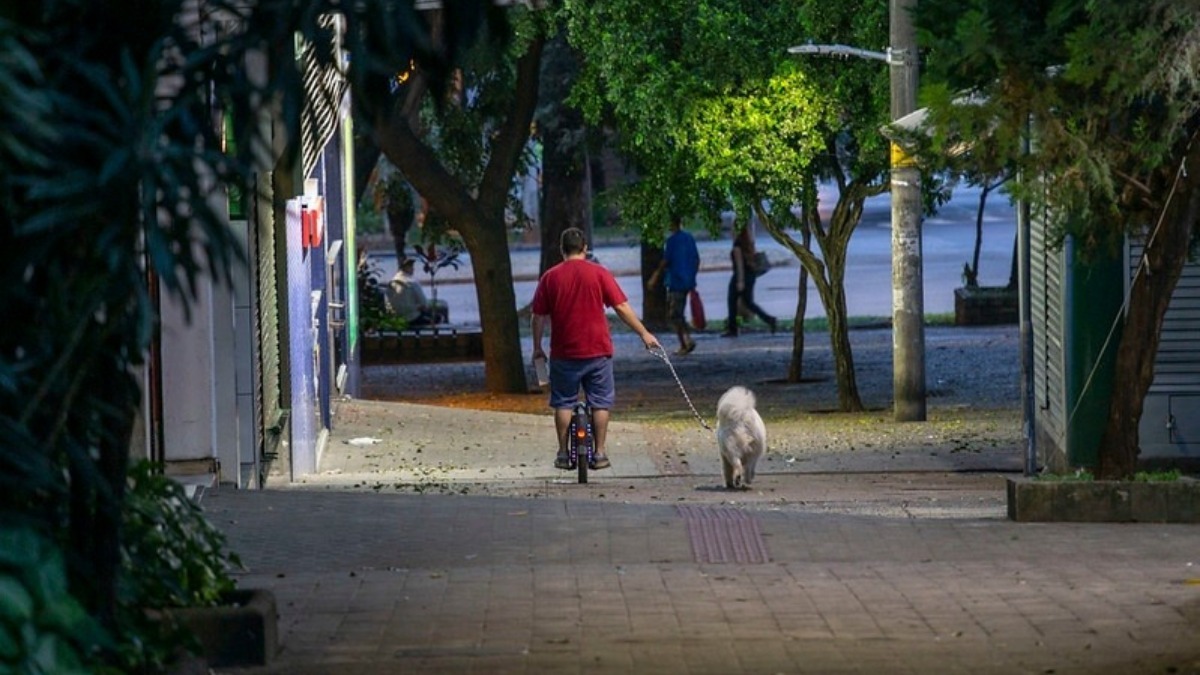 Homem passeando com cachorro em BH