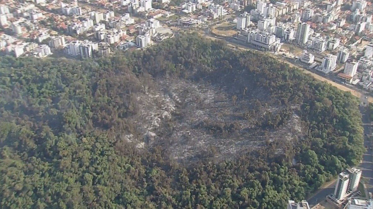 Imagem aerea Parque Municipal Ursulina de Andrade Mello com área queimada