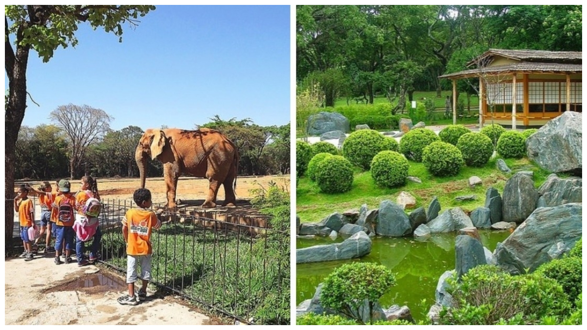 zoológico jardim botânico bh