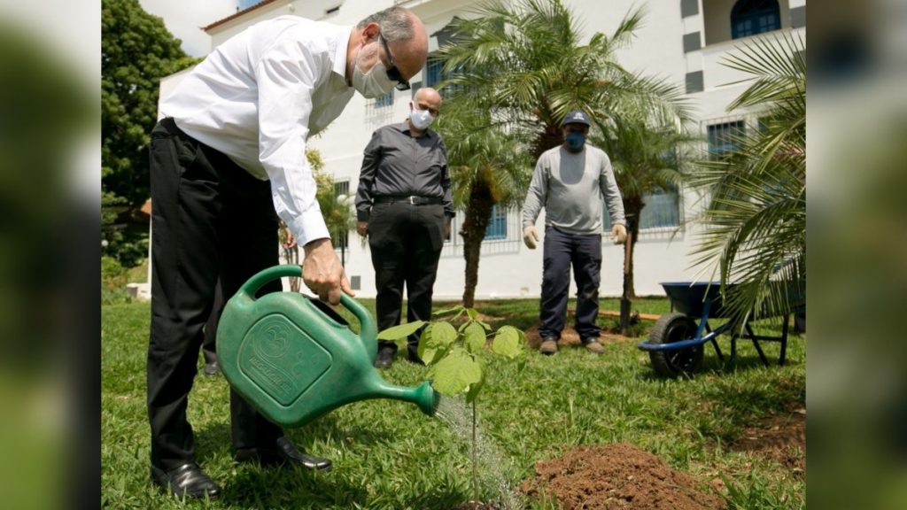 dom mol planta muda na puc foto facebook puc minas