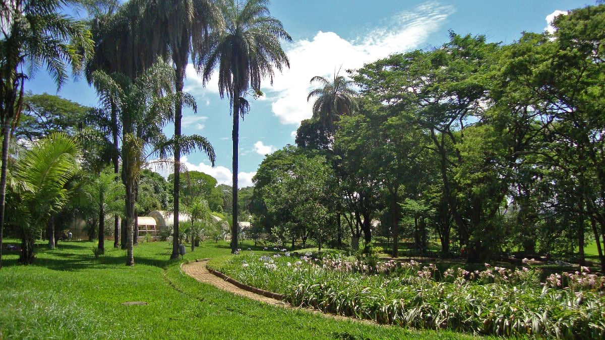 Zoológico de BH reabre com agendamento prévio e novos horários Zoológico de BH reabre com agendamento prévio e novos horários