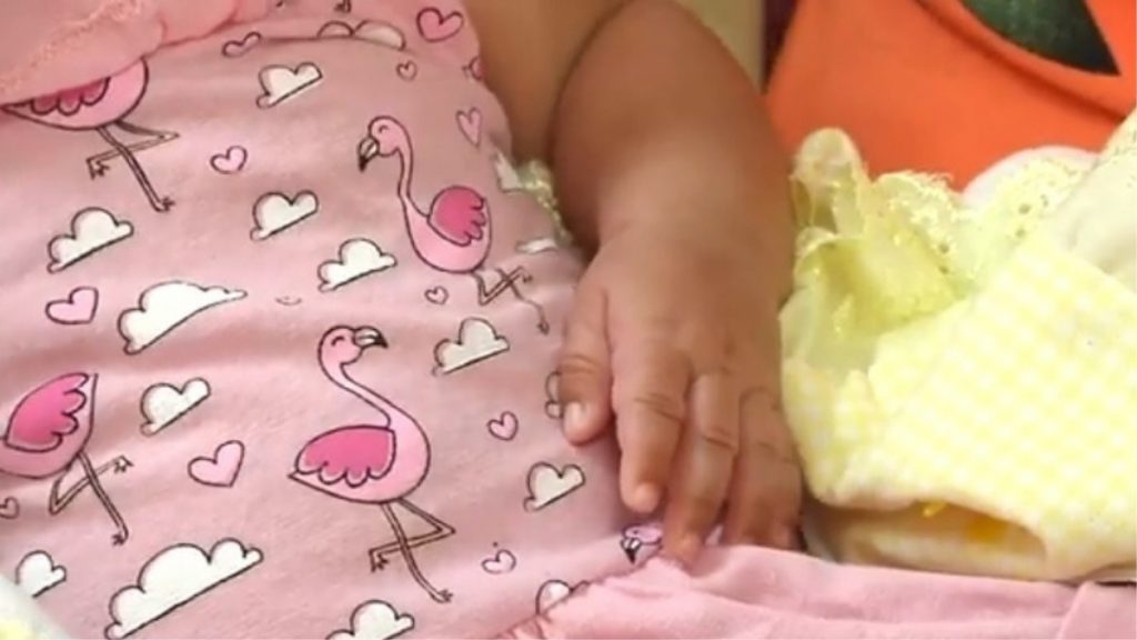 bebê patos de minas