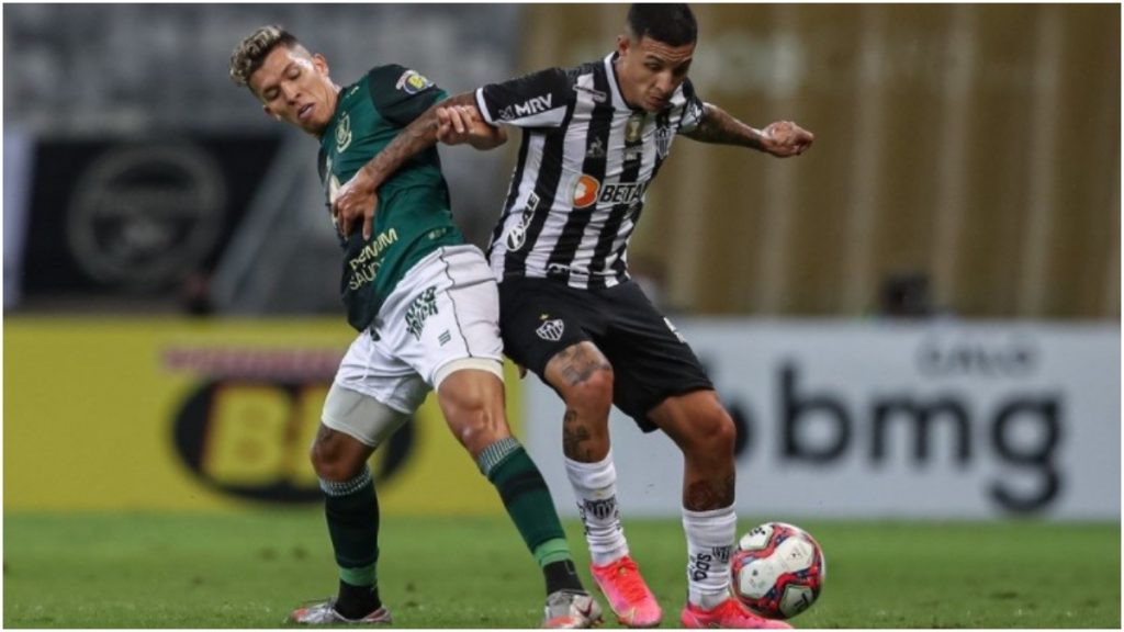 galo