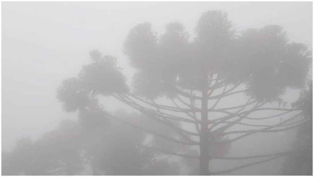 monte verde frio