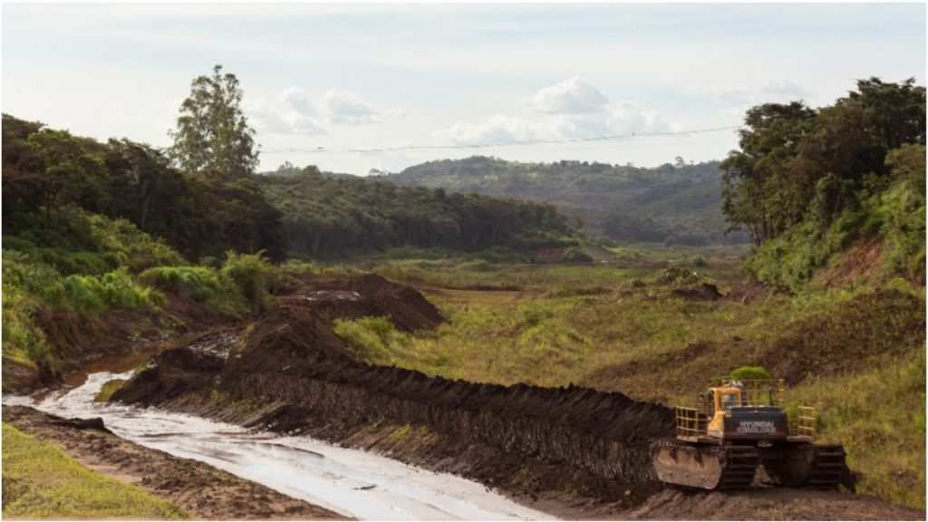 metais urina brumadinho