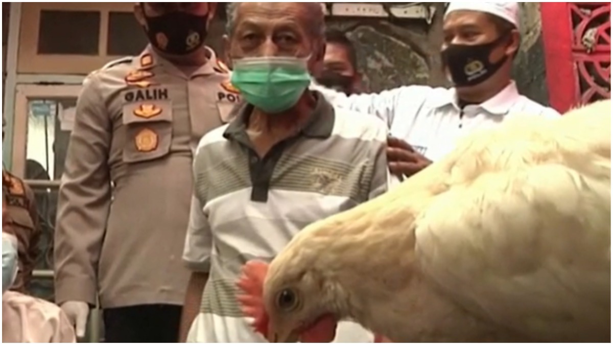 vacinação indonésia galinha