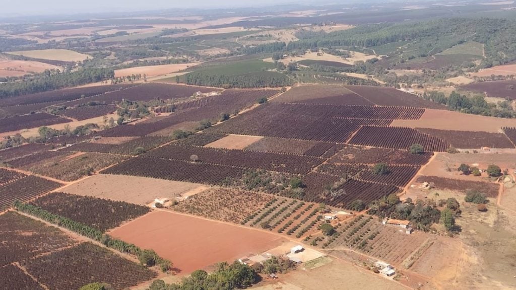 Casal investigado por golpe de R$ 1 milhão contra cafeicultores de Minas é preso em Portugal
