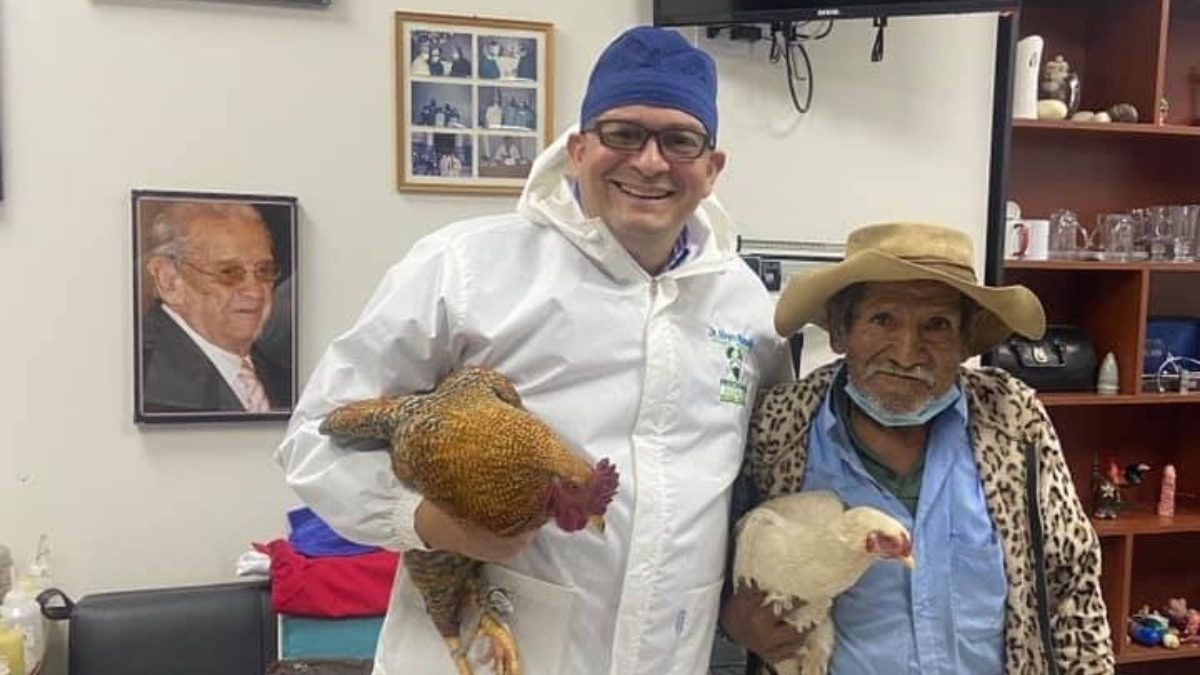 médico paciente galinhas
