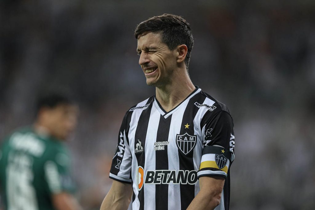 galo palmeiras