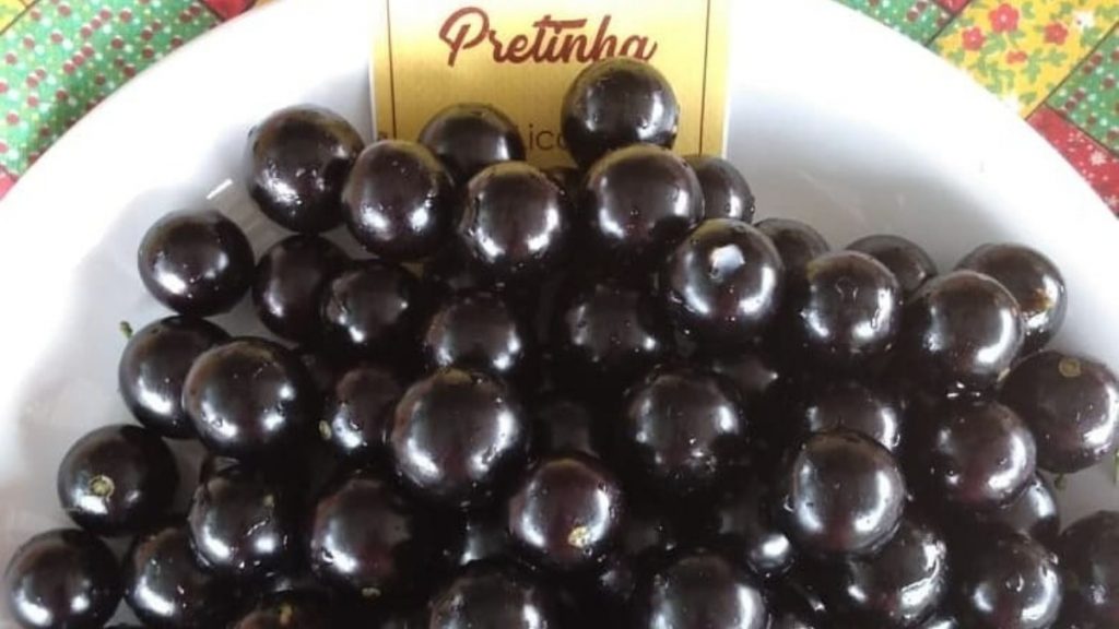 jabuticaba