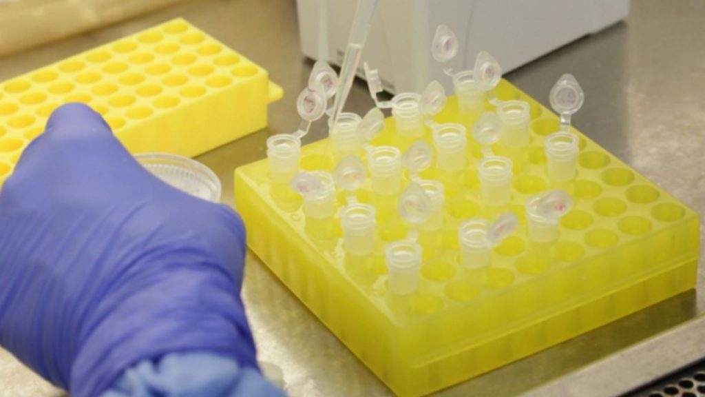 Laboratório