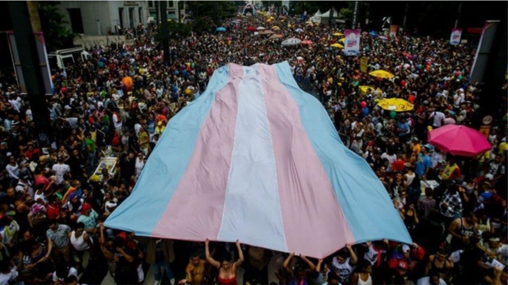 bandeira trans