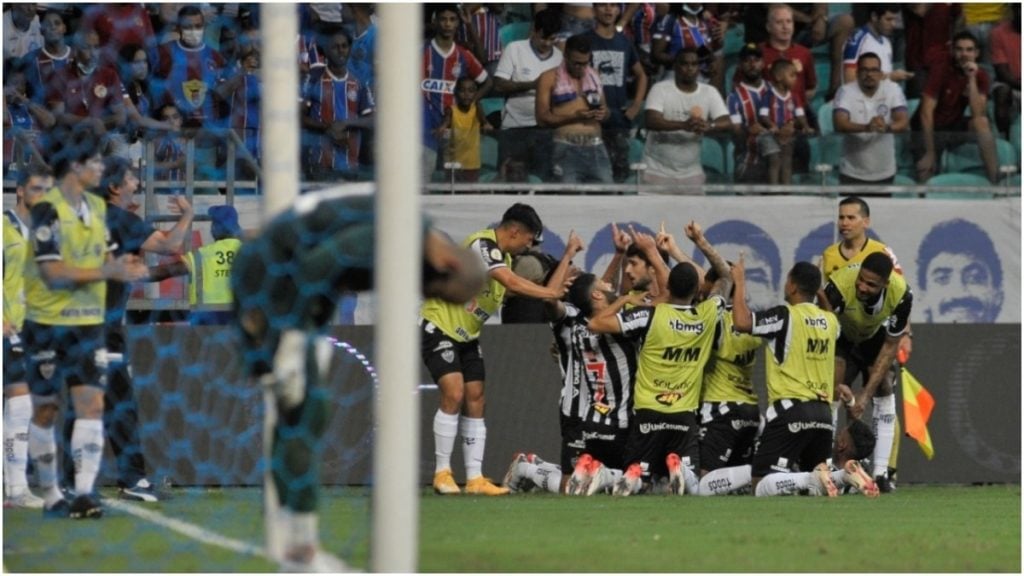 galo campeão