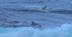 Tubarão assusta surfistas