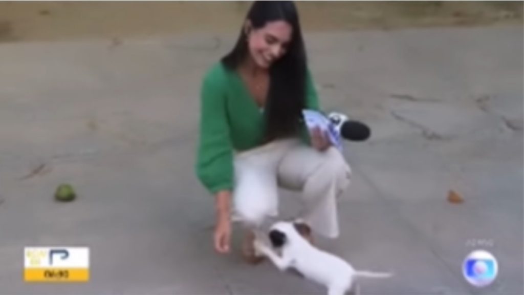 jornalista-com-filhote-cachorro