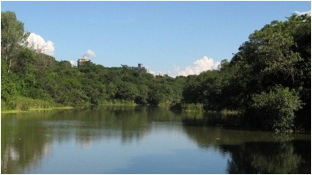 Parques de BH terão trilhas guiadas no feriadão de Corpus Christi lagoa do nado