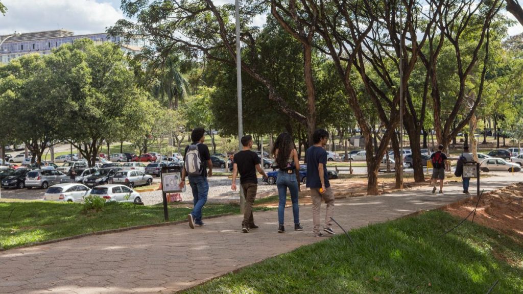 UFMG