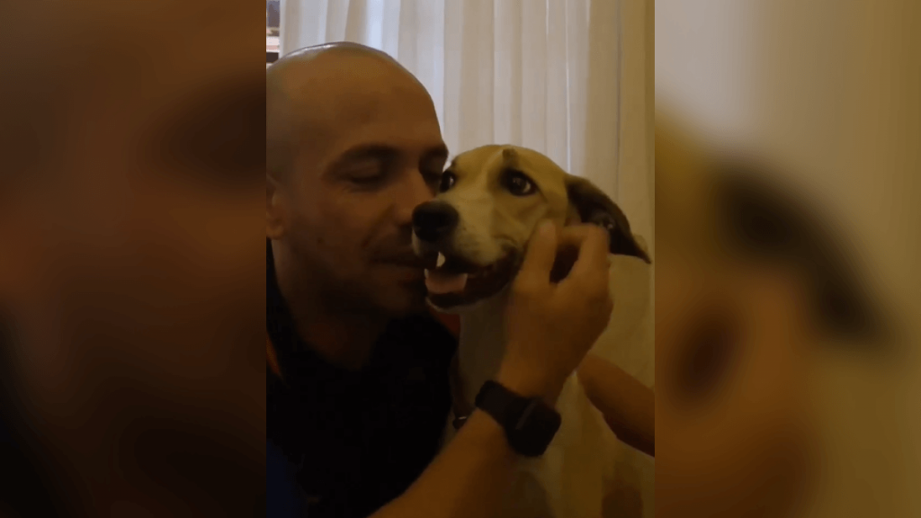 reinaldo-junior-pandora