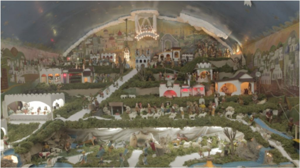 Museu de História Natural e Jardim Botânico reabre para o público